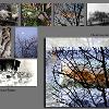 Photoshop